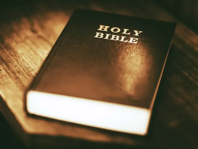 ho;y bible cover